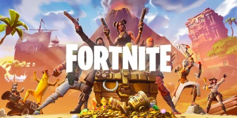 Fortnite v12.50 - Online only cover art