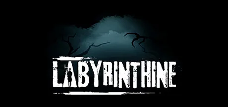 Labyrinthine cover art
