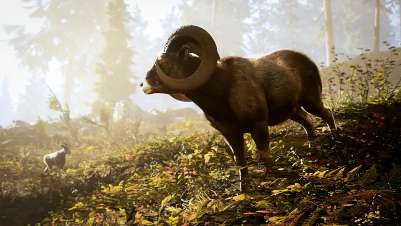 Hunting Simulator 3 gameplay screenshot 3