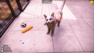 Animal Shelter 2 Anniversary v1.4.2 (RUNE) gameplay screenshot 2