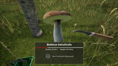 Mushroom Hunter World (TENOKE) Build 20194458 gameplay screenshot 2