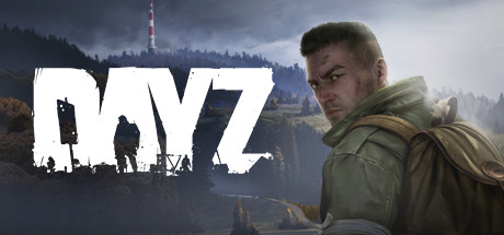 DayZ v1.28 + Multiplayer cover art