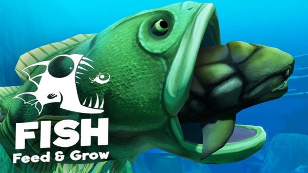 Feed and Grow Fish v0.14.1.3 cover art