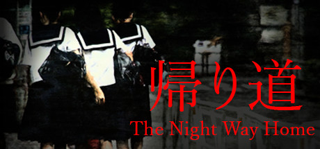 The Night Way Home - PLAZA + Update v1.065 cover art