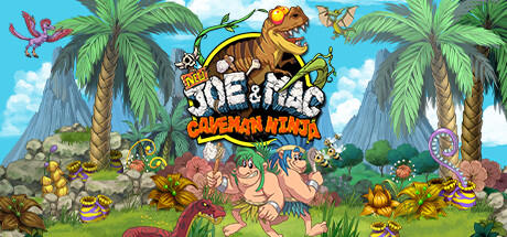 New Joe and Mac Caveman Ninja v61665 - GOG cover art