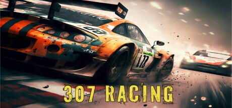 307 Racing v1.0 cover art