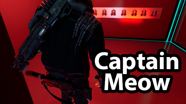 Captain Meow Build 10580810
