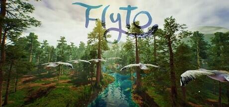 Flyto Build 11439253 cover art