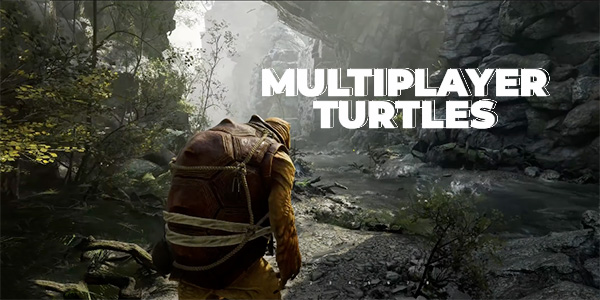 Multiplayer Turtles Build 11165414 cover art