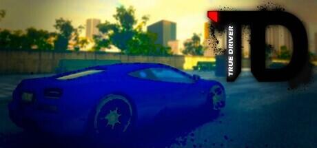True Driver Build 11434464 cover art