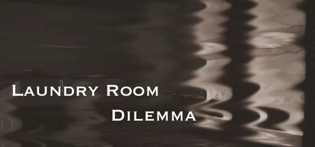 Laundry Room Dilemma Build 17136921 (TENOKE Release) cover art