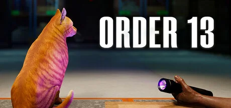 ORDER 13 v1.1 (Build 20468988) cover art