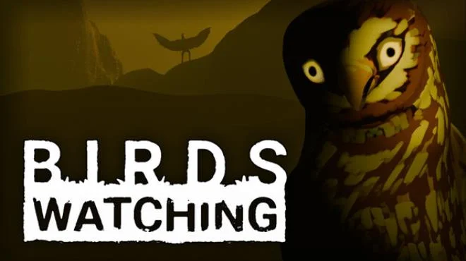 Birds Watching Build 22252390 cover art